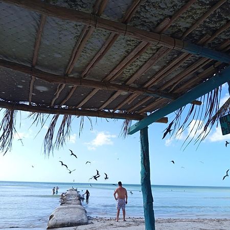 Mi Habitat Holbox-Maravilla Natural Bagian luar foto