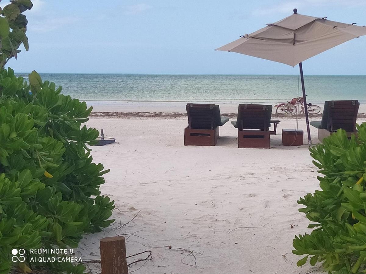Mi Habitat Holbox-Maravilla Natural Bagian luar foto