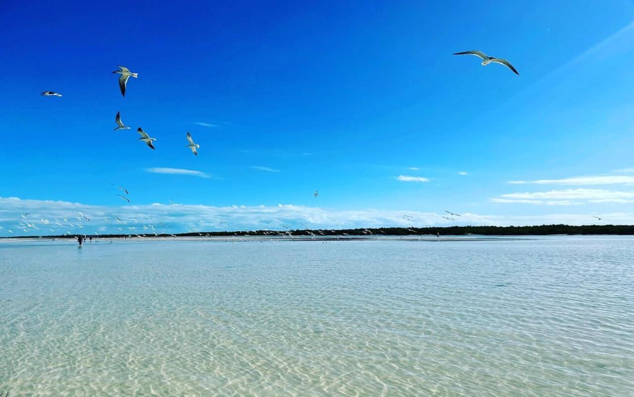 Mi Habitat Holbox-Maravilla Natural Bagian luar foto
