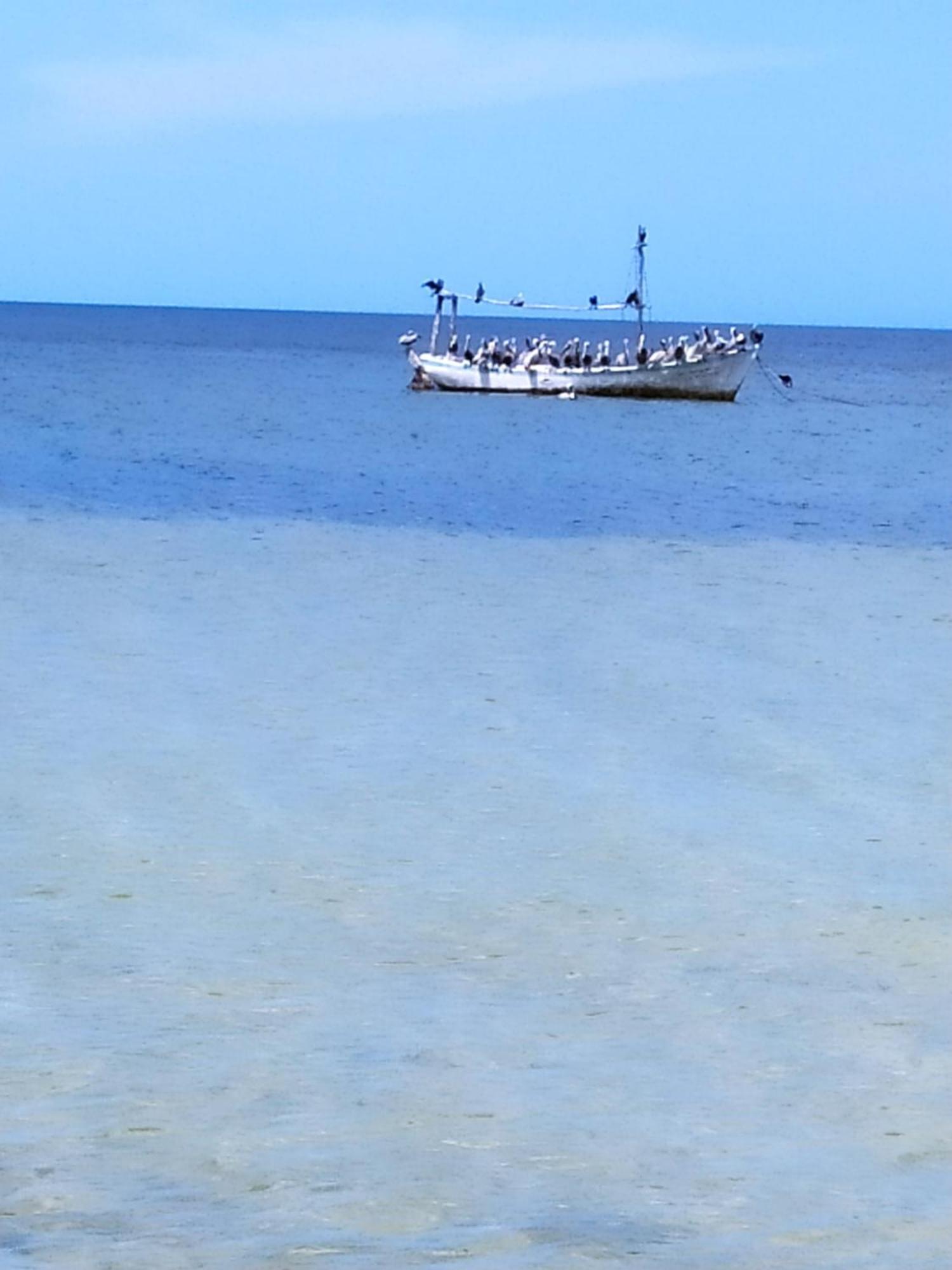Mi Habitat Holbox-Maravilla Natural Bagian luar foto