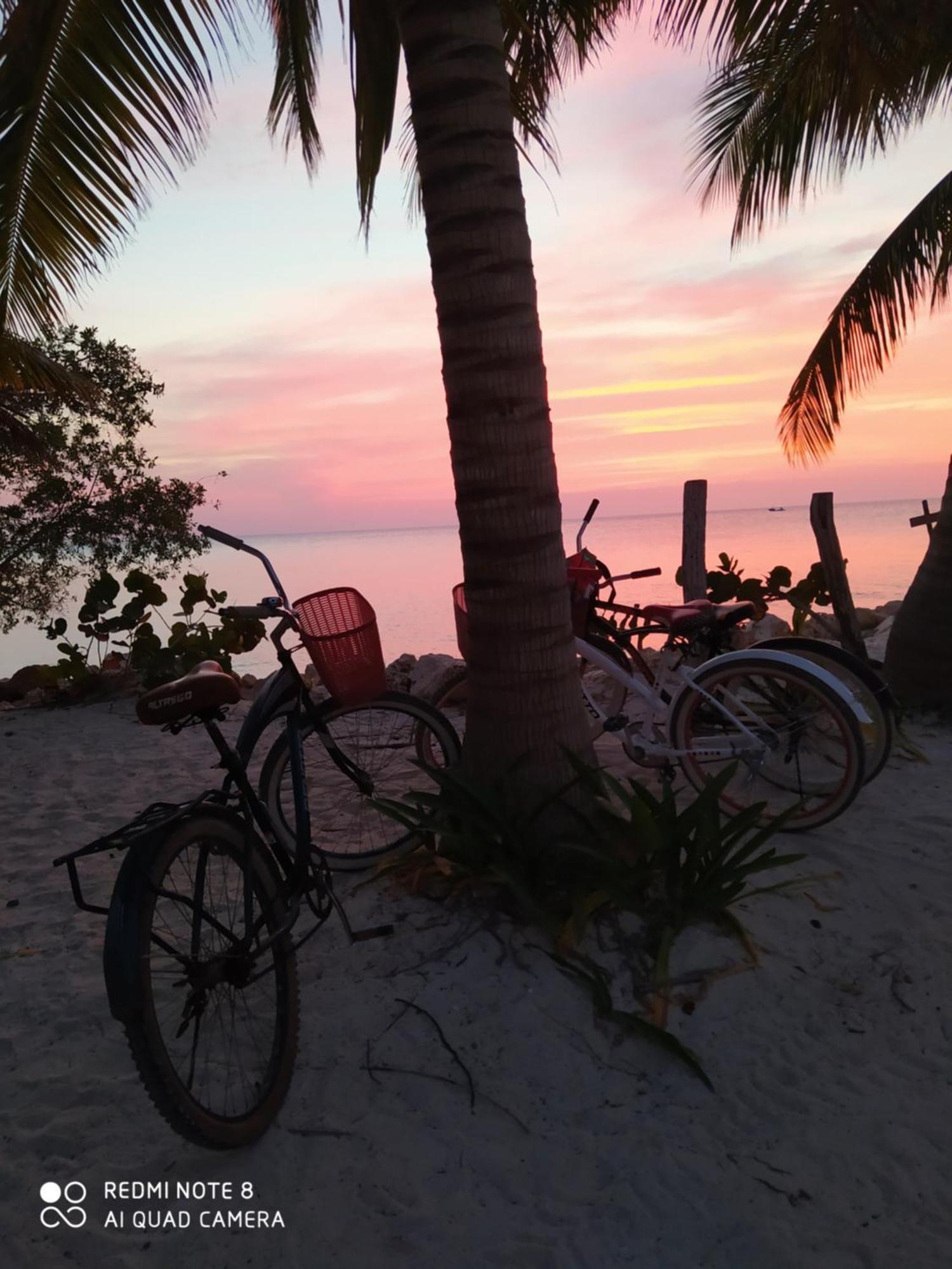 Mi Habitat Holbox-Maravilla Natural Bagian luar foto