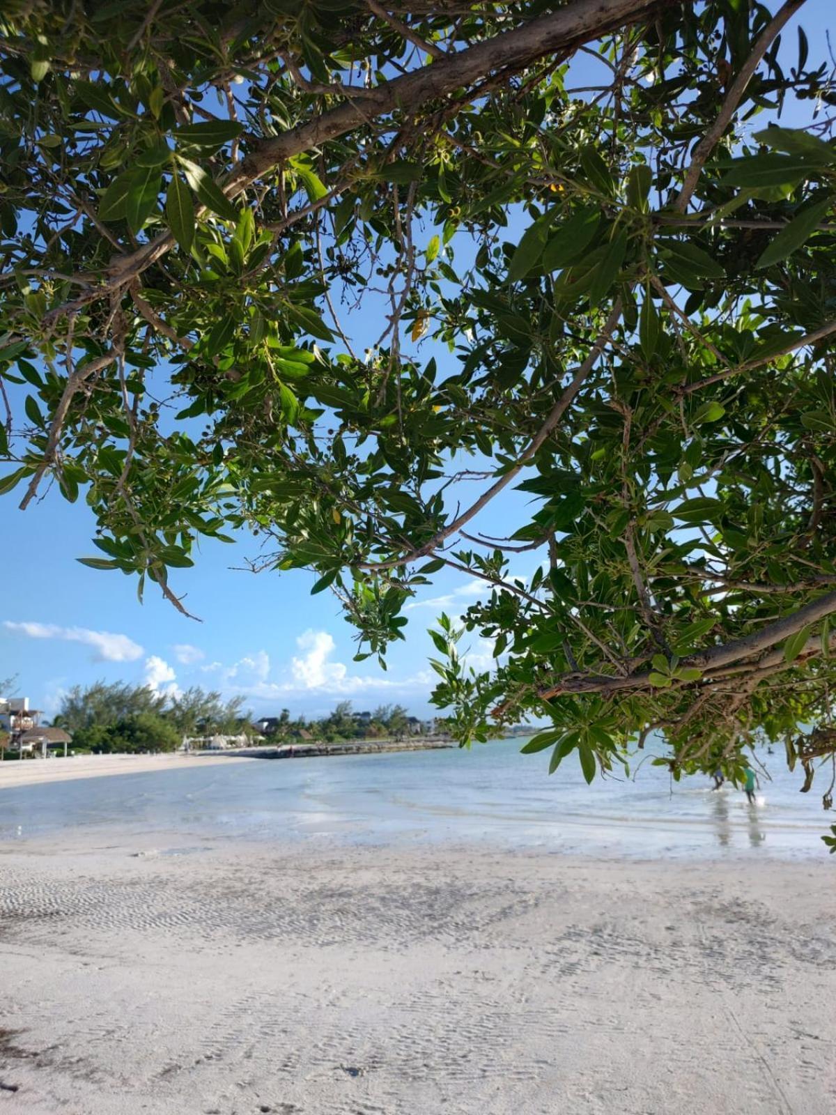 Mi Habitat Holbox-Maravilla Natural Bagian luar foto