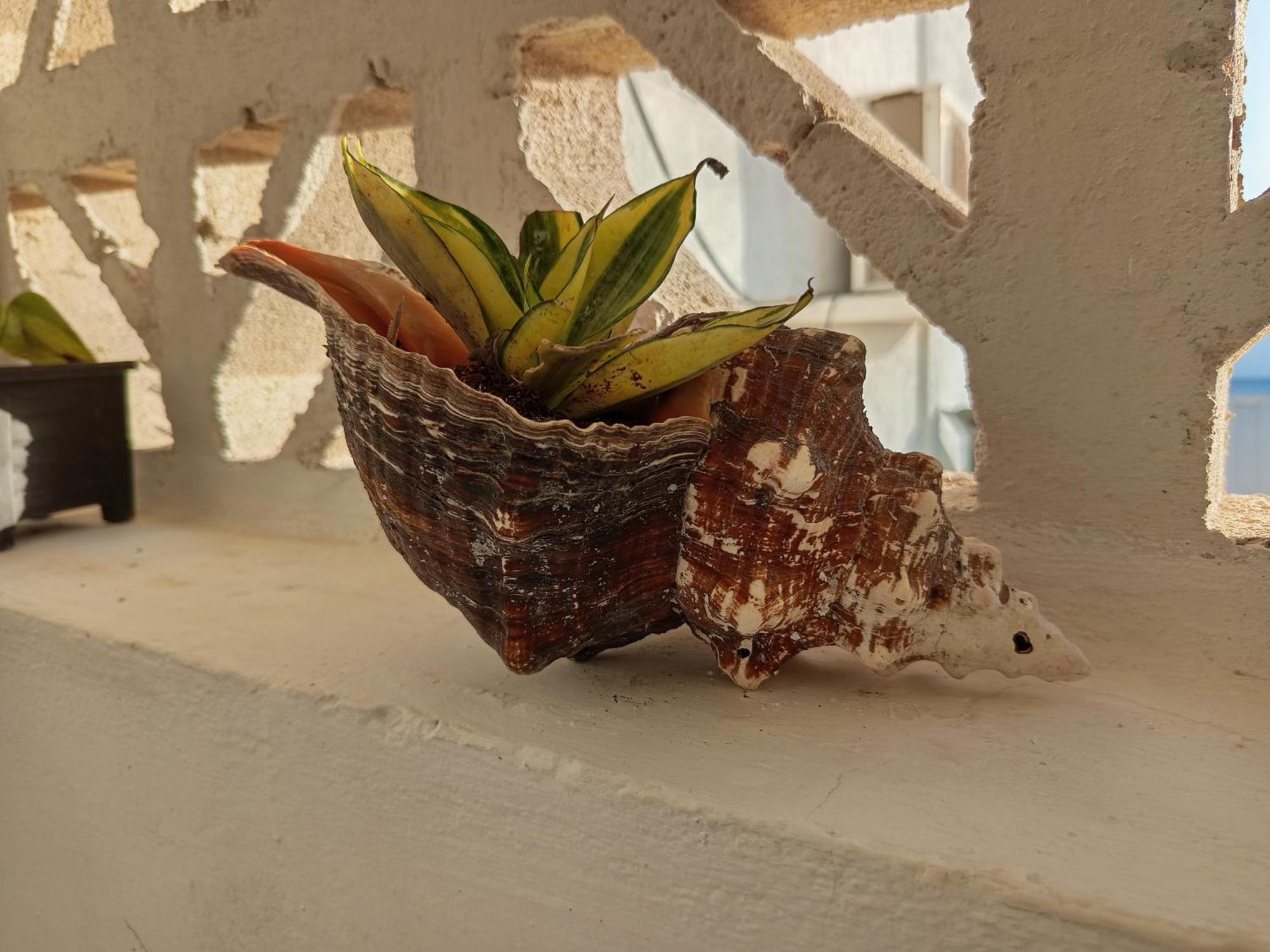 Mi Habitat Holbox-Maravilla Natural Bagian luar foto