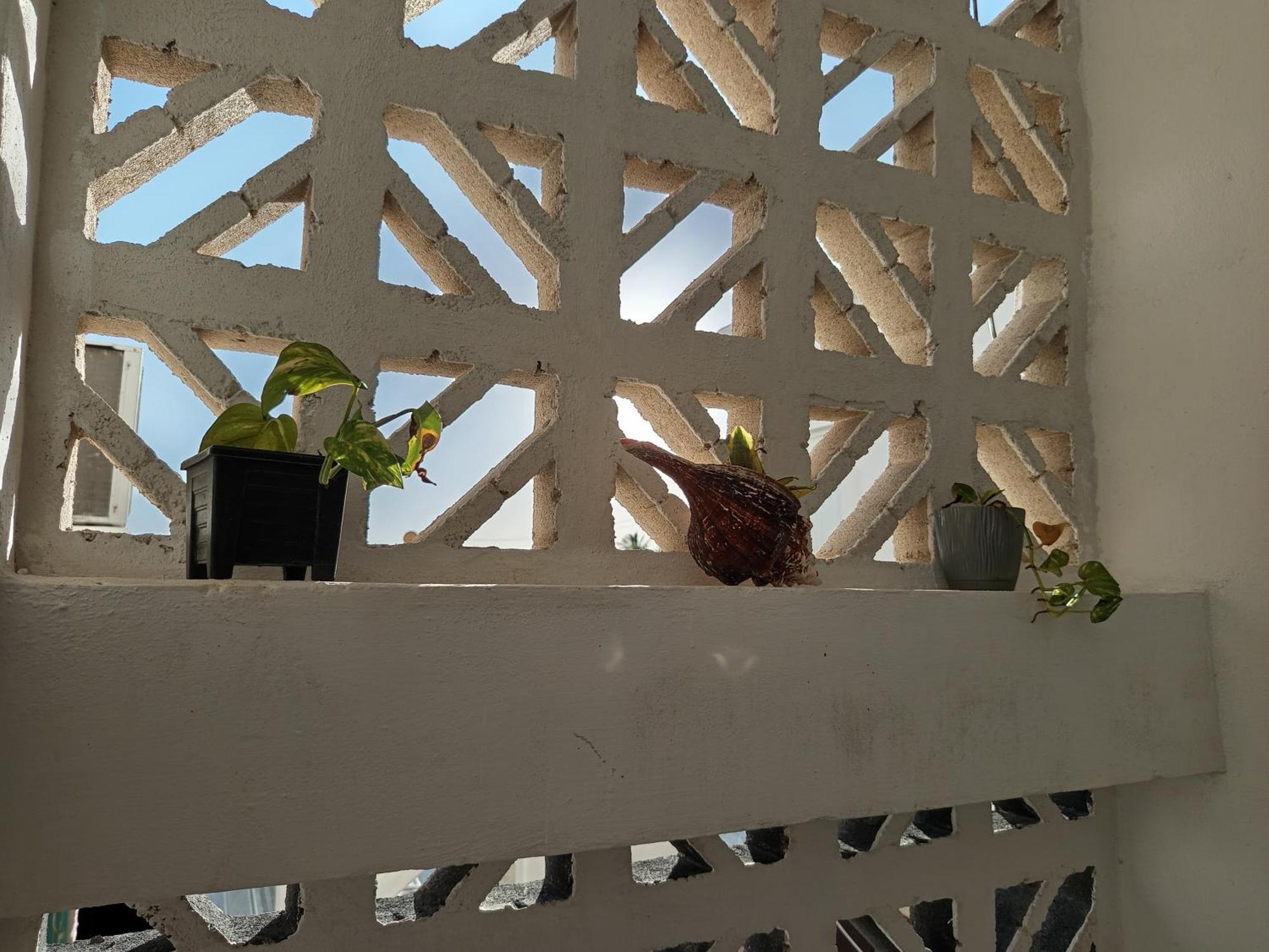 Mi Habitat Holbox-Maravilla Natural Bagian luar foto
