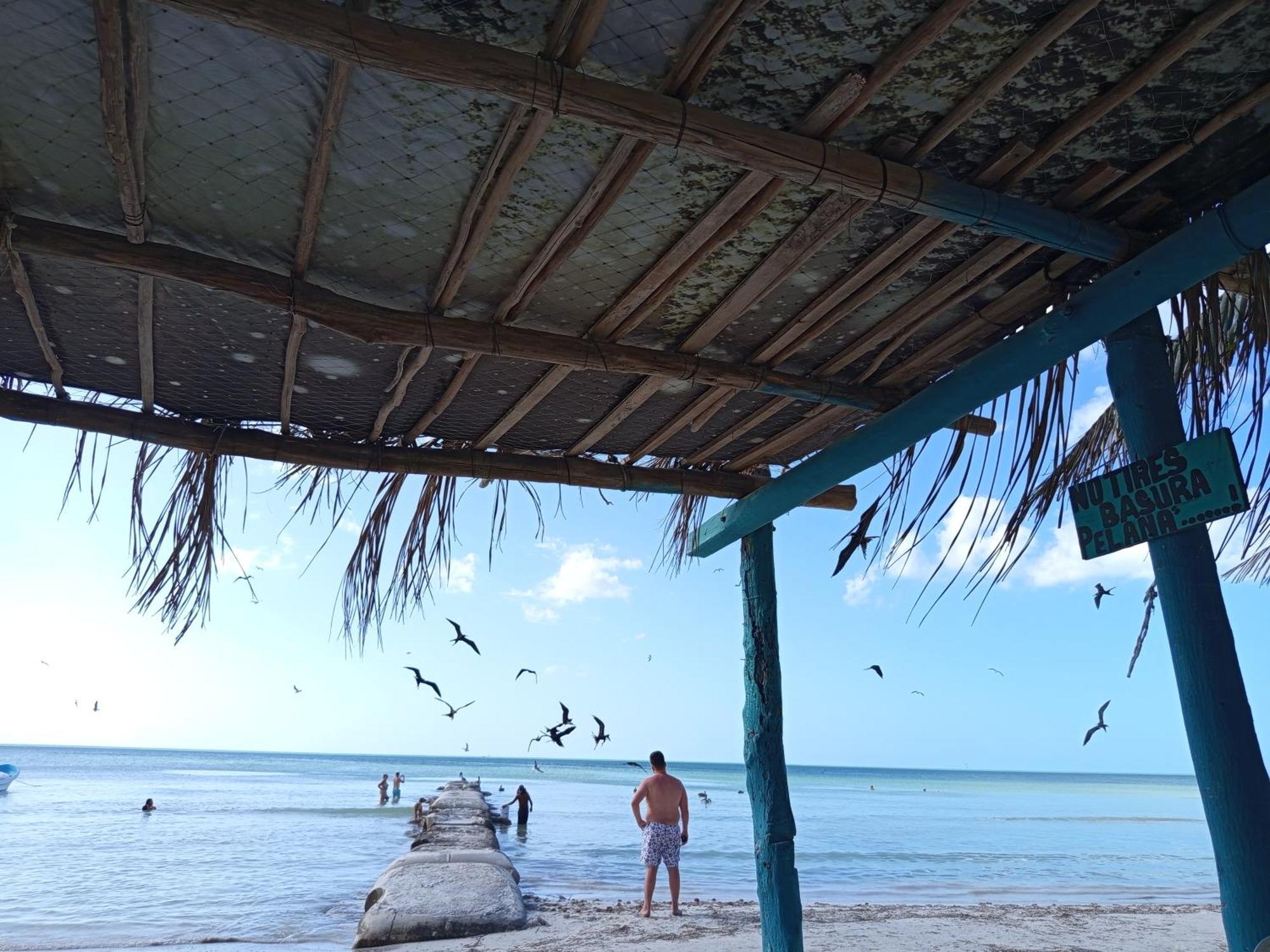 Mi Habitat Holbox-Maravilla Natural Bagian luar foto